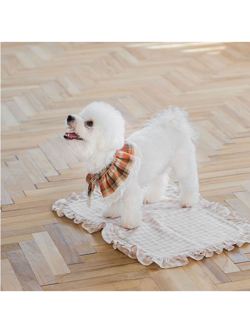 クイーンズコート QUEENS COURT チェックスタイ(犬用) 【返品不可商品】 (オレンジ) オレンジ