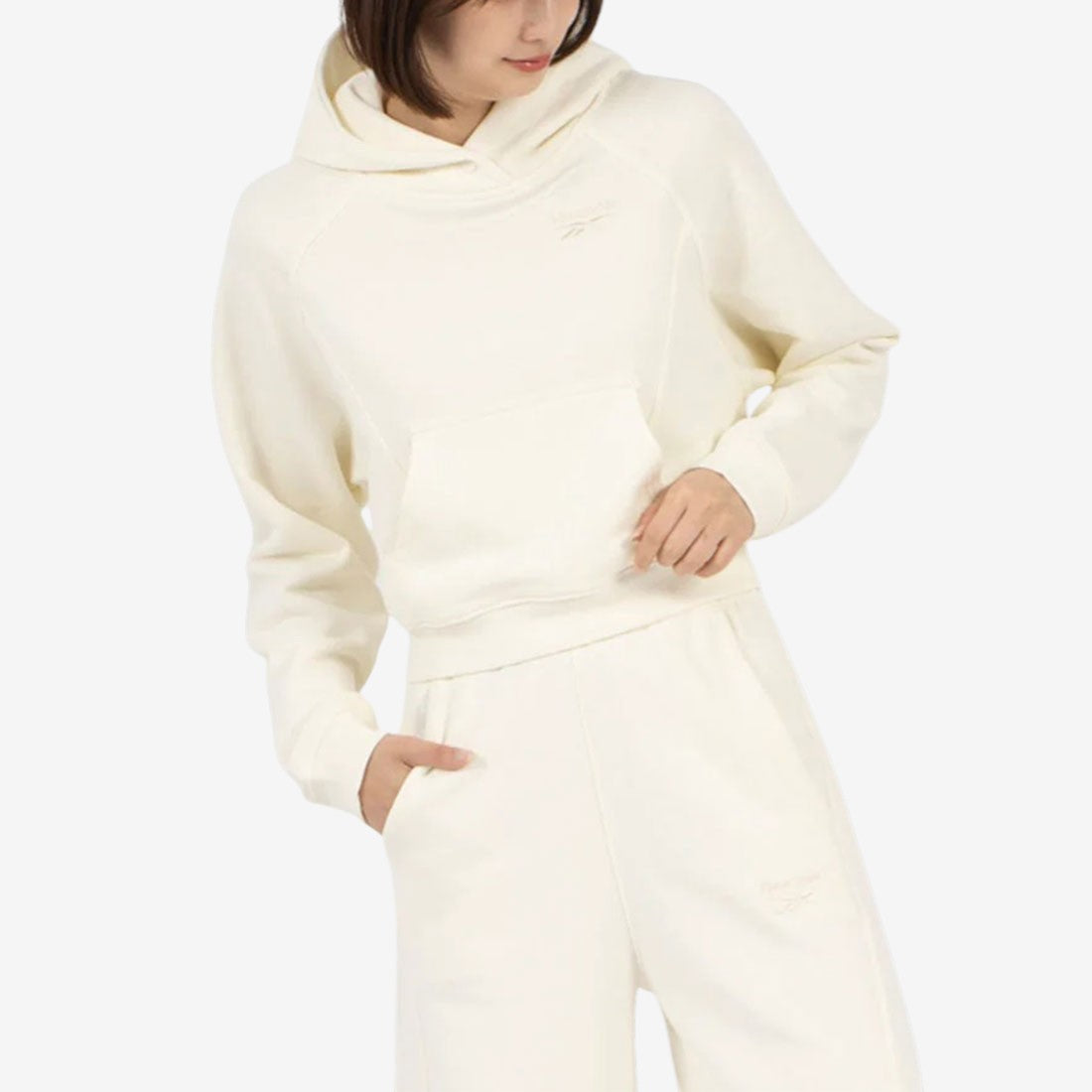 アイコン エレメンツ フーディー / ICON ELEMENTS FT HOODIE (チョーク) チョーク