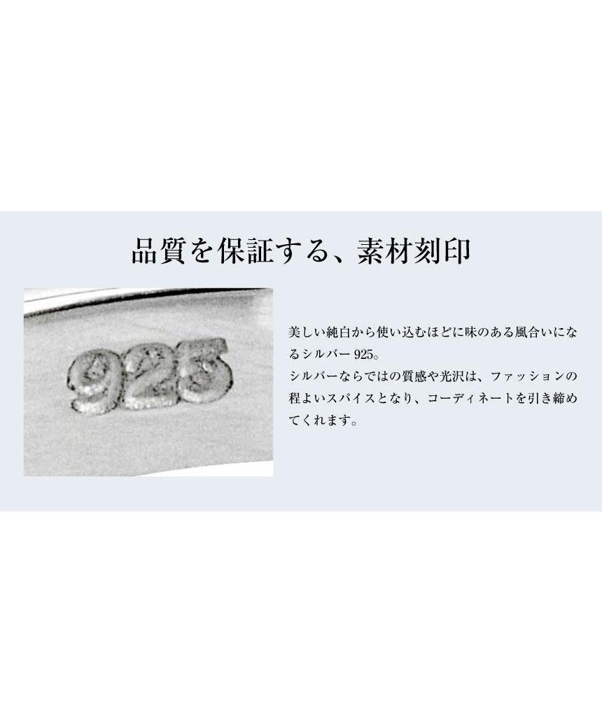 シアーズ Sears シアーズ ピアス メンズ レディース ユニセックス キュービックジルコニア 5mm シルバー925 シルバーピアス (シルバー) シルバー