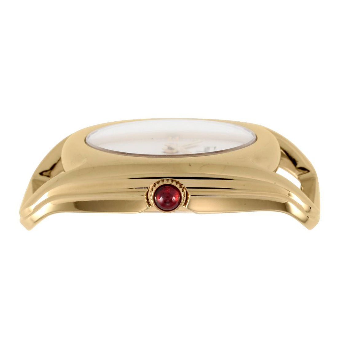 Salvatore Ferragamo Ferragamo SFEL00419