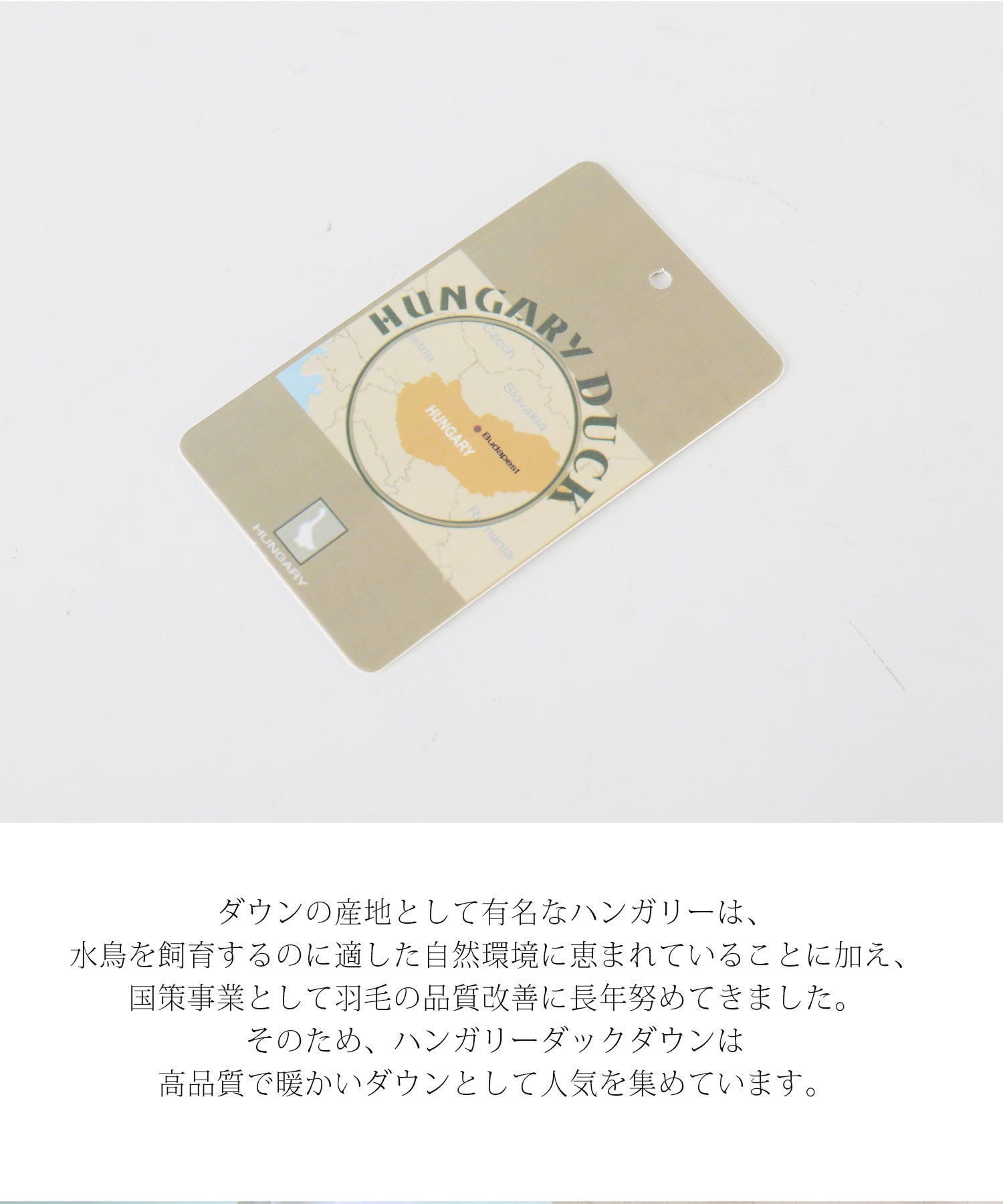 Filomo Washable Down Coat with Hood