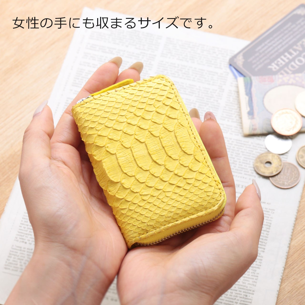 サンキョウショウカイ 三京商会 パイソンレザーコインケース (ブルー) ブルー