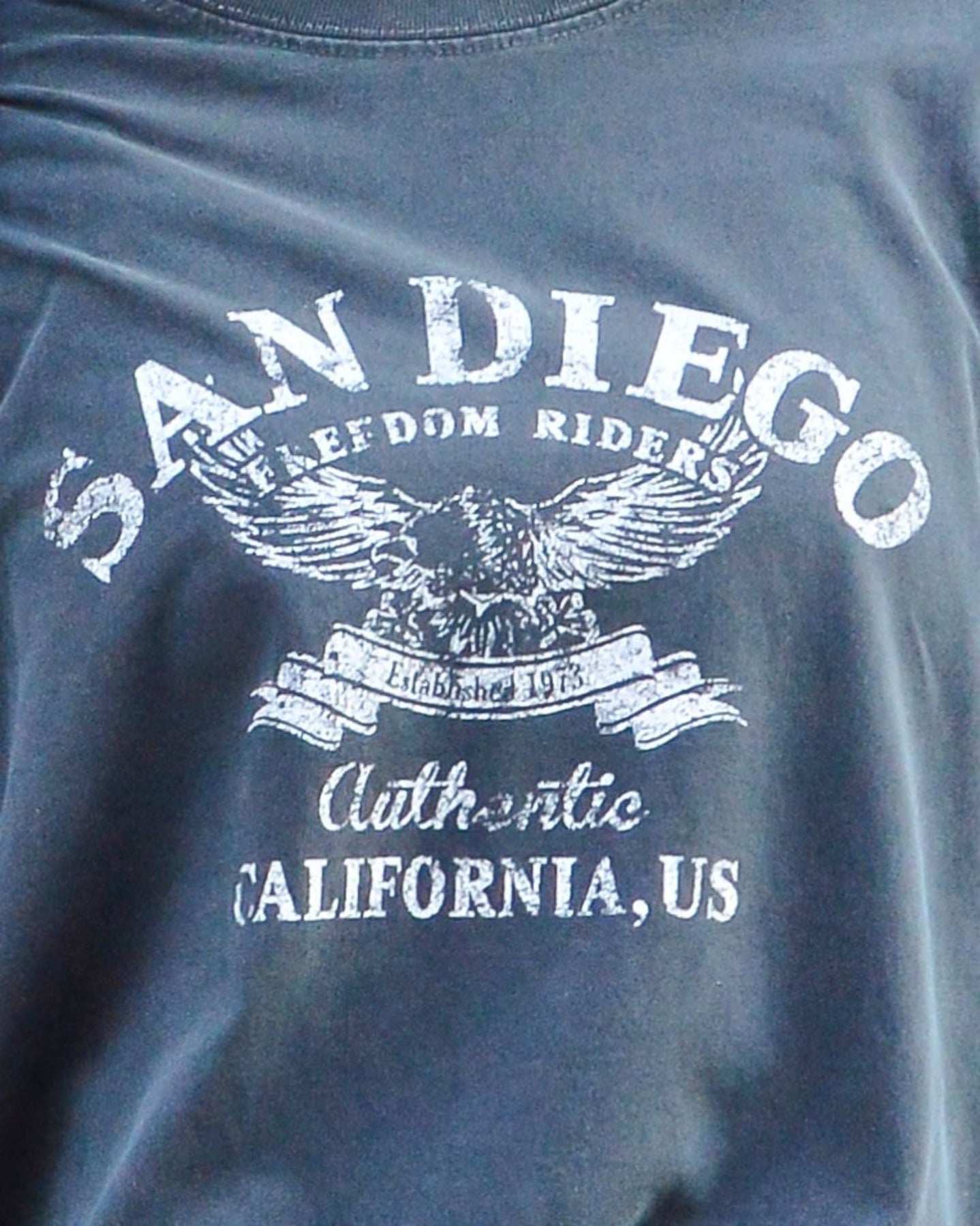 スピリトーゾ Spiritoso ピグメントアーチロゴイーグルプリントロンT