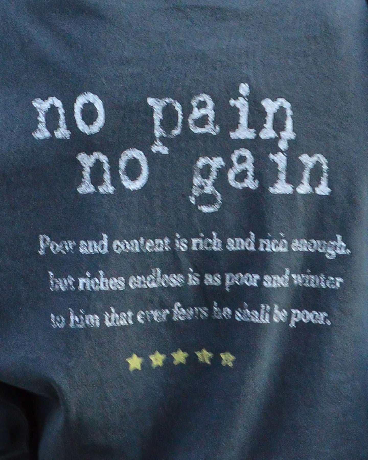 スピリトーゾ Spiritoso ピグメントアーチロゴイーグルプリントロンT