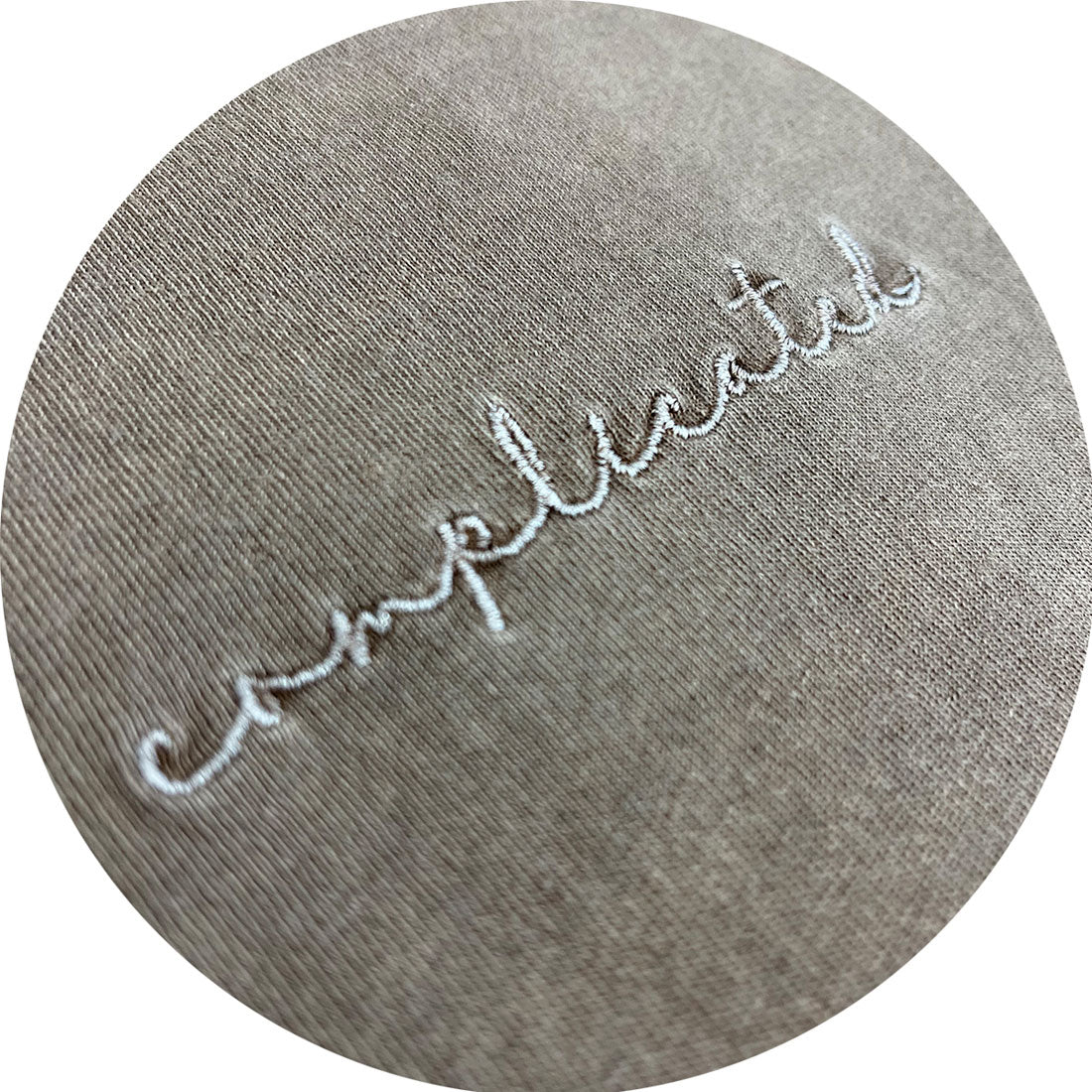 スピリトーゾ Spiritoso Complicated刺繍 ラグランTシャツ