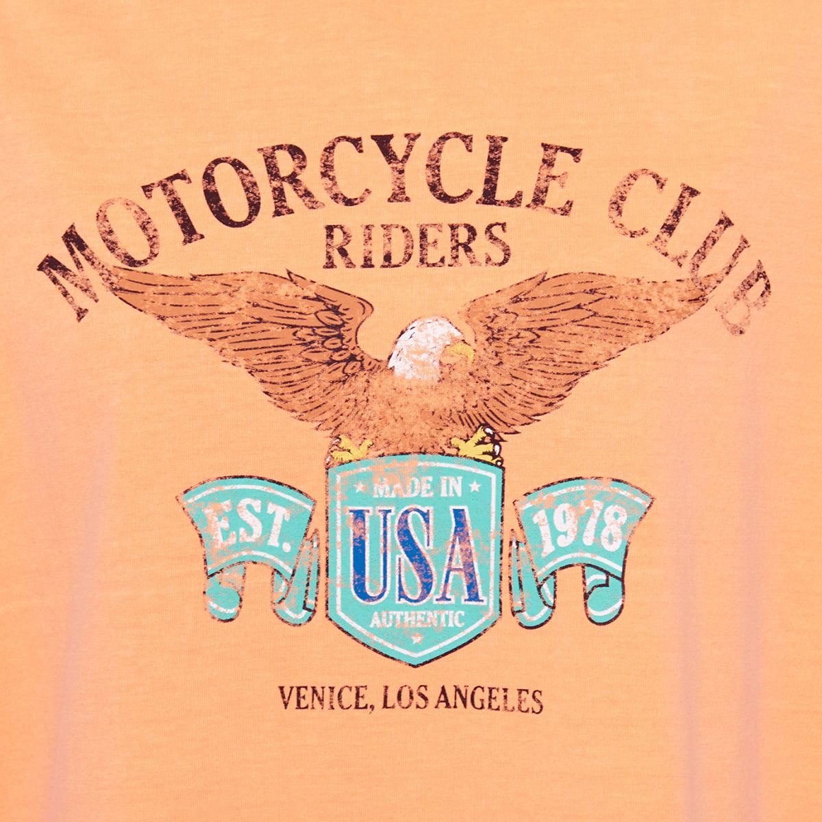 スピリトーゾ Spiritoso イーグルプリントTシャツ