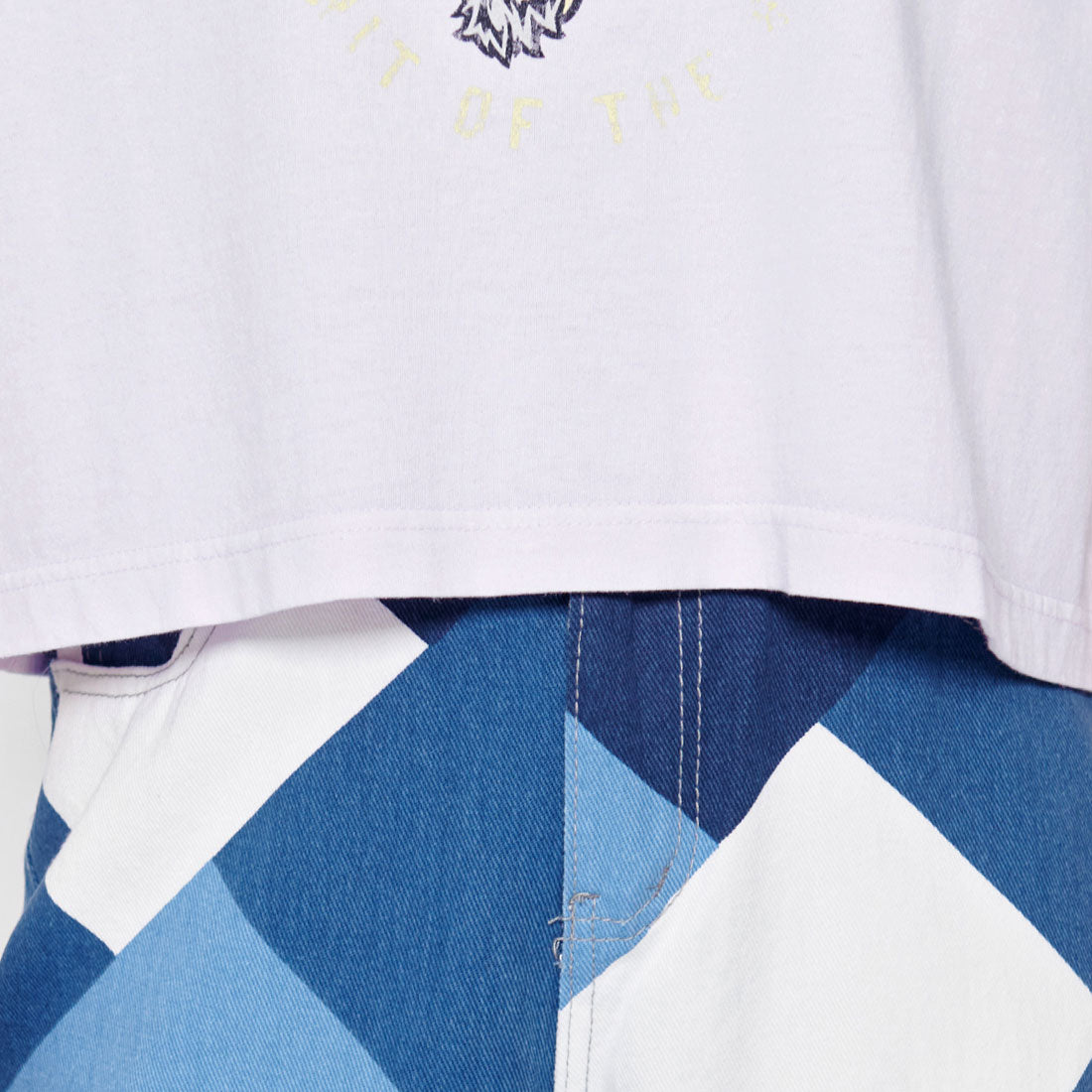 スピリトーゾ Spiritoso CUSTOMタイガープリント ショート丈Tシャツ