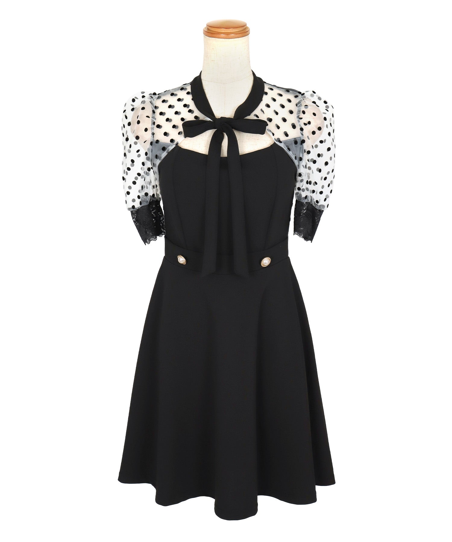 Tika Dot Pattern Sheer Short Sleeve Neck Ribbon Flare Mini Dress