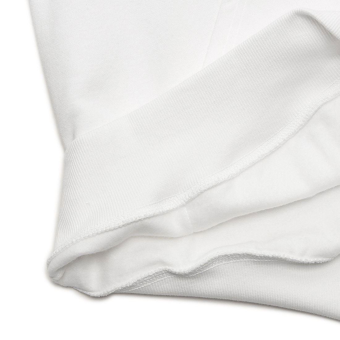 ザ・ノース・フェイス THE NORTH FACE パーカー ボックスNSEプルオーバー 海外モデル ボックスロゴ バックプリント ホワイト メンズ THE NORTH FACE NF0A7UNS LA9