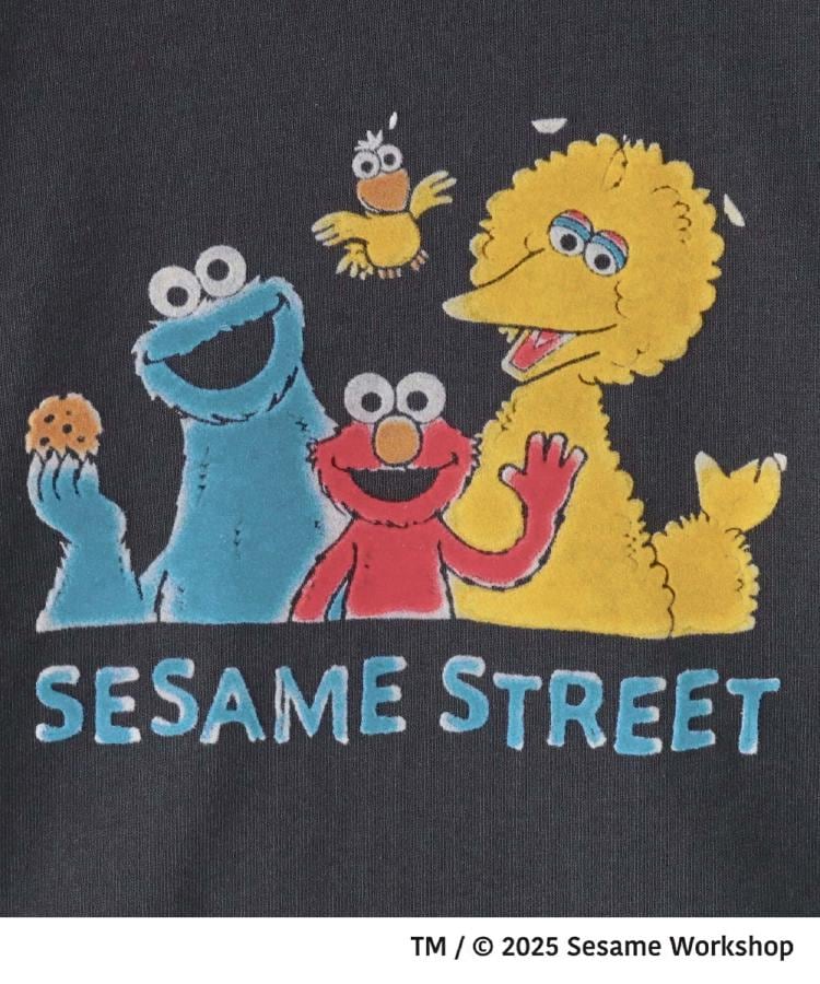 ザ ショップ ティーケー (キッズ) THE SHOP TK(Kids) 【110-160】セサミストリートTシャツ/親子リンク (オフホワイト(003)) オフホワイト(003)