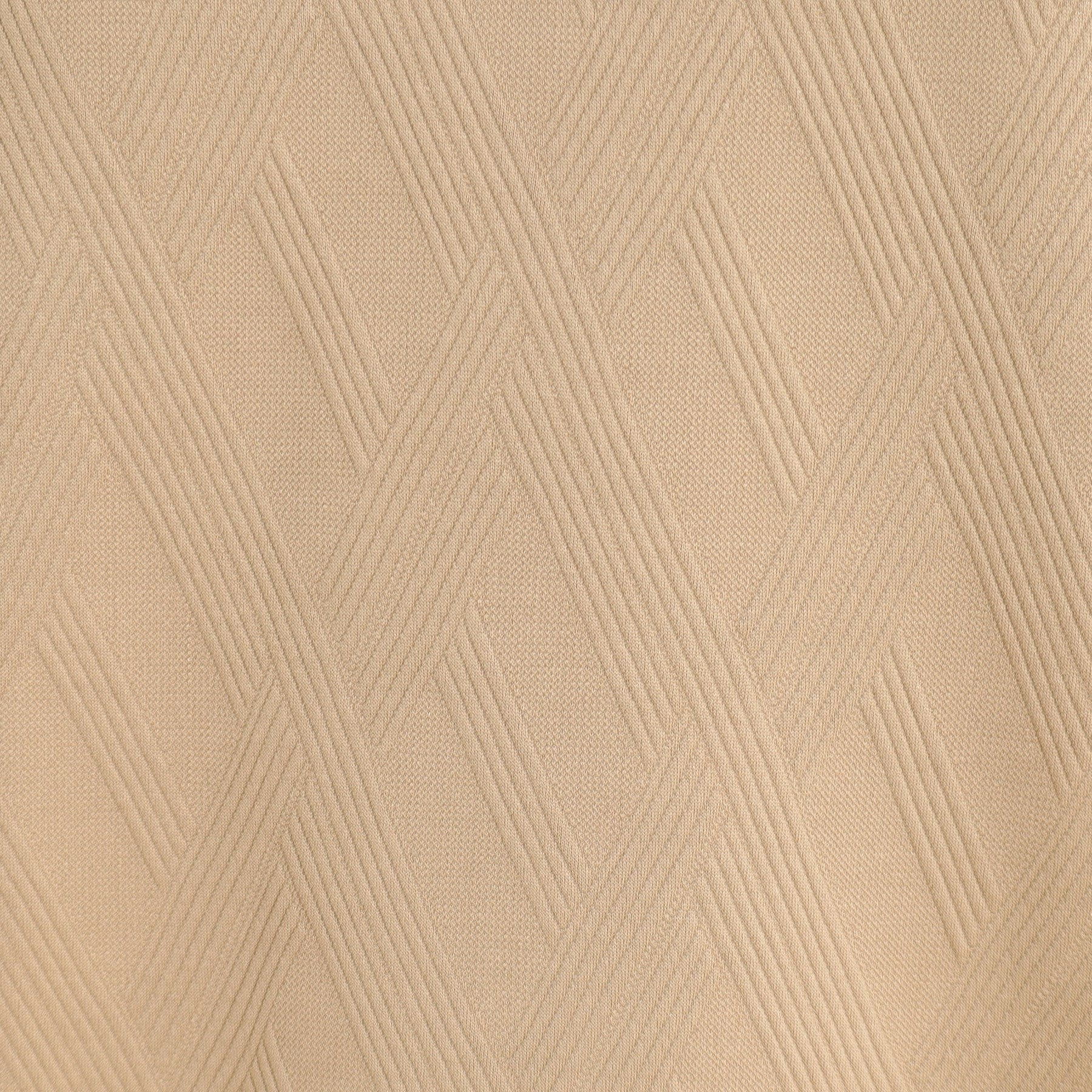 ザ ショップ ティーケー(メンズ) THE SHOP TK(Men) リンクススウェットプルオーバー (グリーン(022)) グリーン(022)