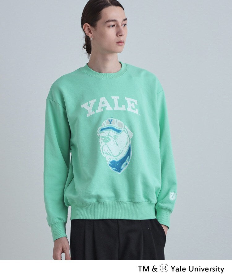 ティーケー タケオ キクチ tk.TAKEO KIKUCHI YALEフロッキースウェット (グリーン(022)) グリーン(022)