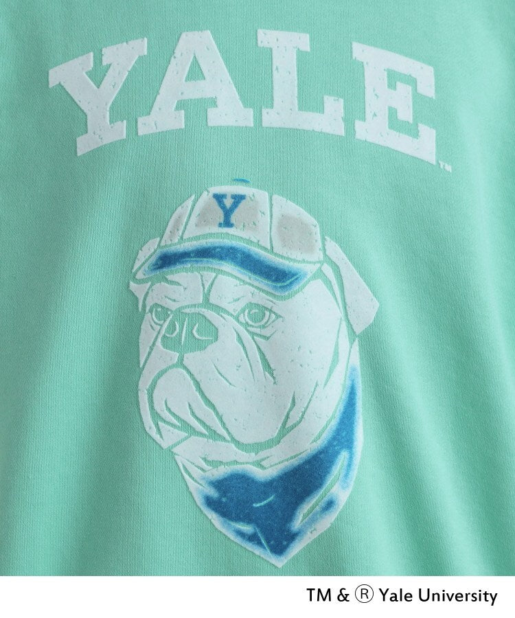 ティーケー タケオ キクチ tk.TAKEO KIKUCHI YALEフロッキースウェット (グリーン(022)) グリーン(022)