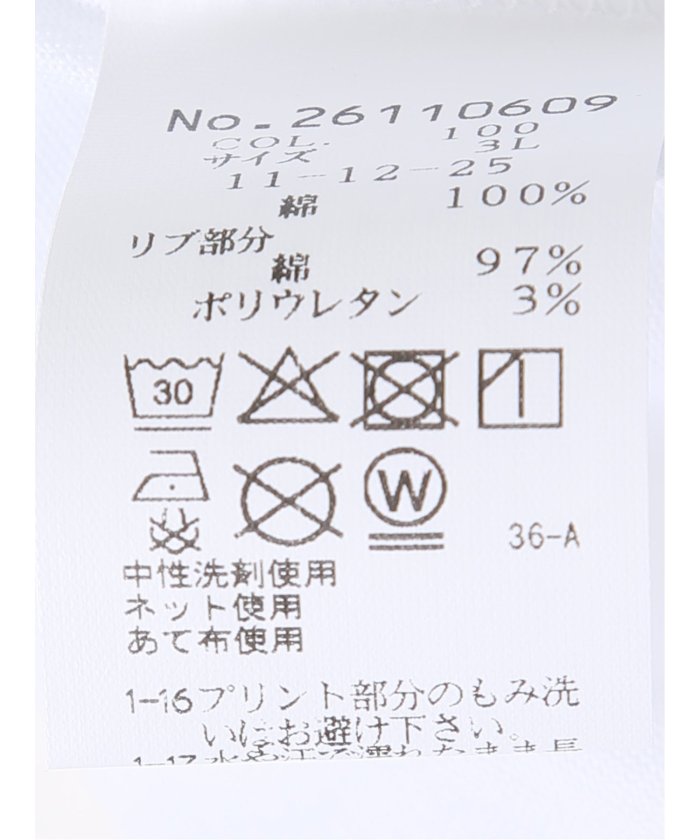 グランバック GRAND-BACK 【大きいサイズ】シナコバ/SINA COVA 綿 シルケット クルーネック 半袖 Tシャツ (白) 白