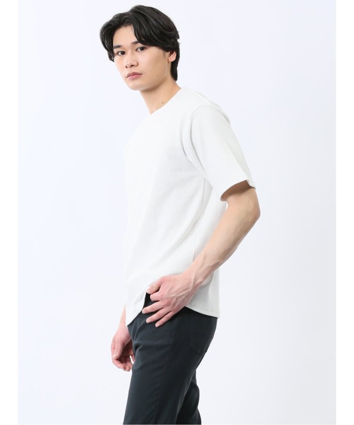 ジャガード クルーネック半袖Tシャツ (白) メンズ Tシャツ カットソー カジュアル インナー トップス ギフト プレゼント 白