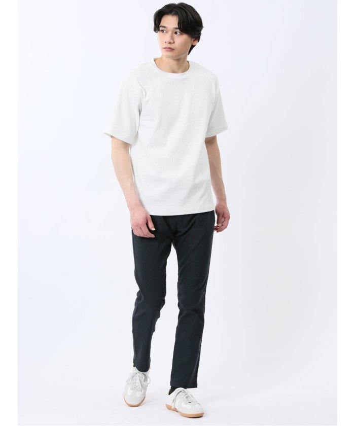 ジャガード クルーネック半袖Tシャツ (白) メンズ Tシャツ カットソー カジュアル インナー トップス ギフト プレゼント 白