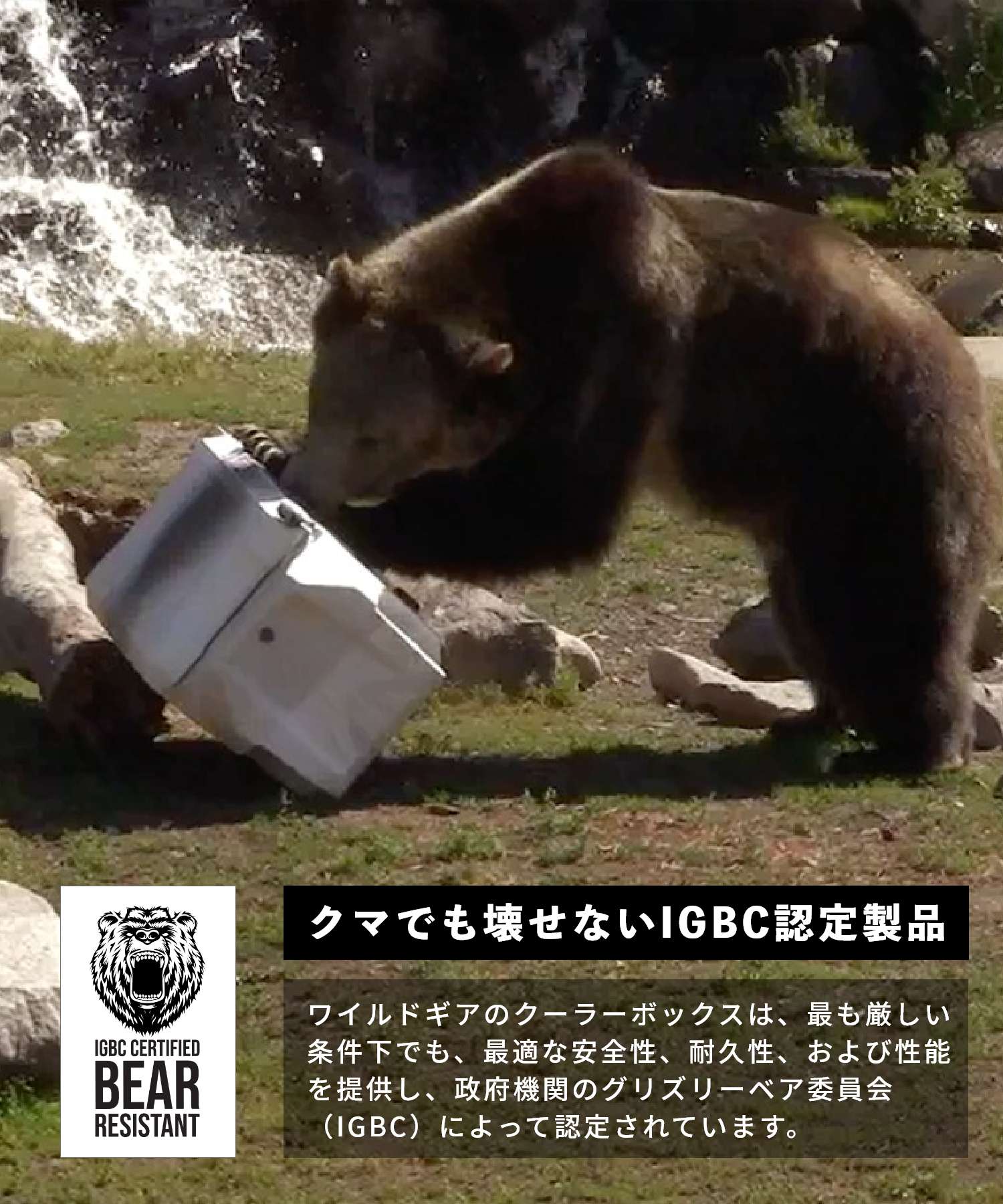 Wild Gear WyLD GEAR Wild Gear WYLD GEAR Hard Cooler FREEDOM Series 65 QT Cooler Unisex Leisure Camping Equipment made in USA