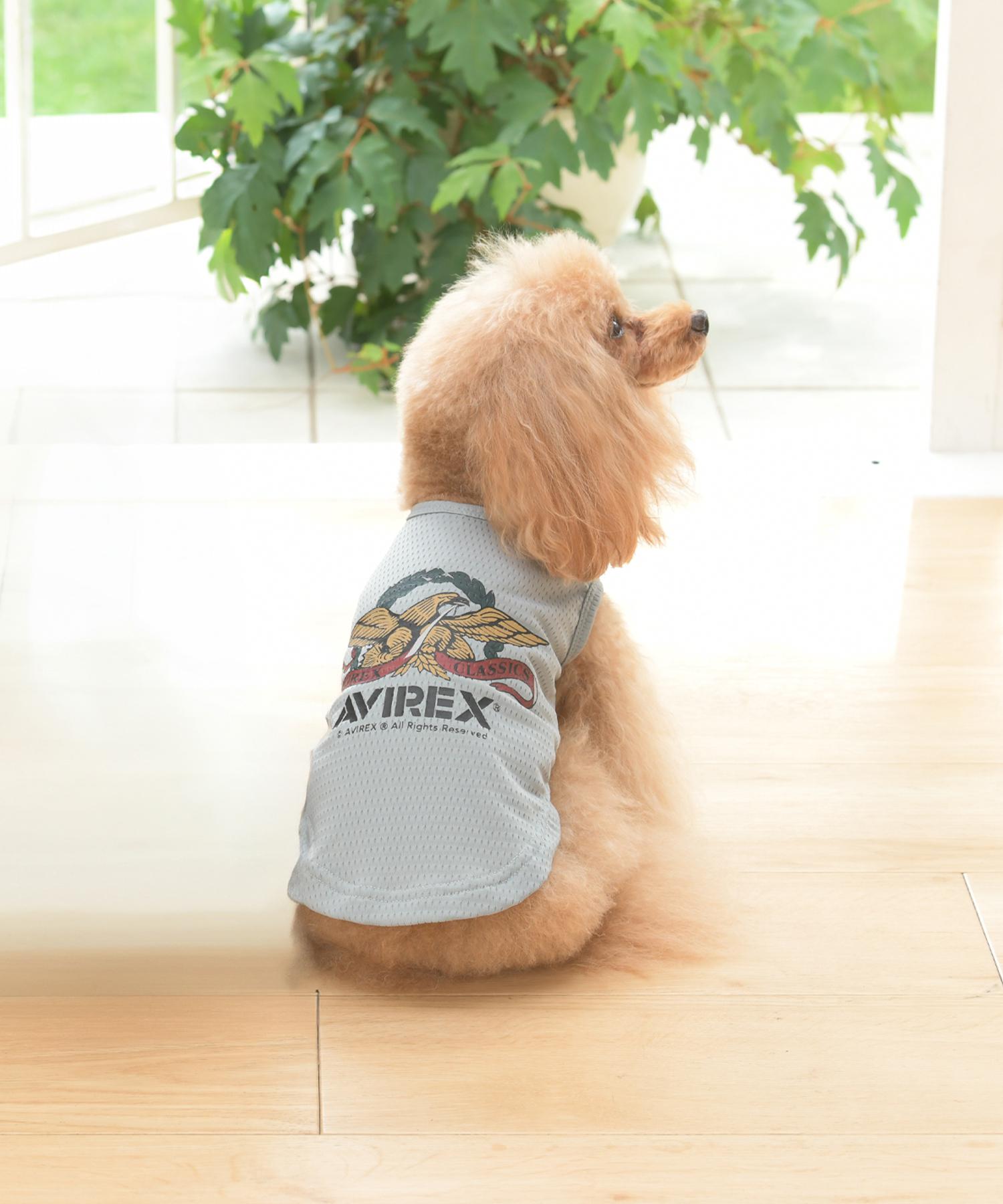 《DOG WEA>》イーグルタンク ブルー