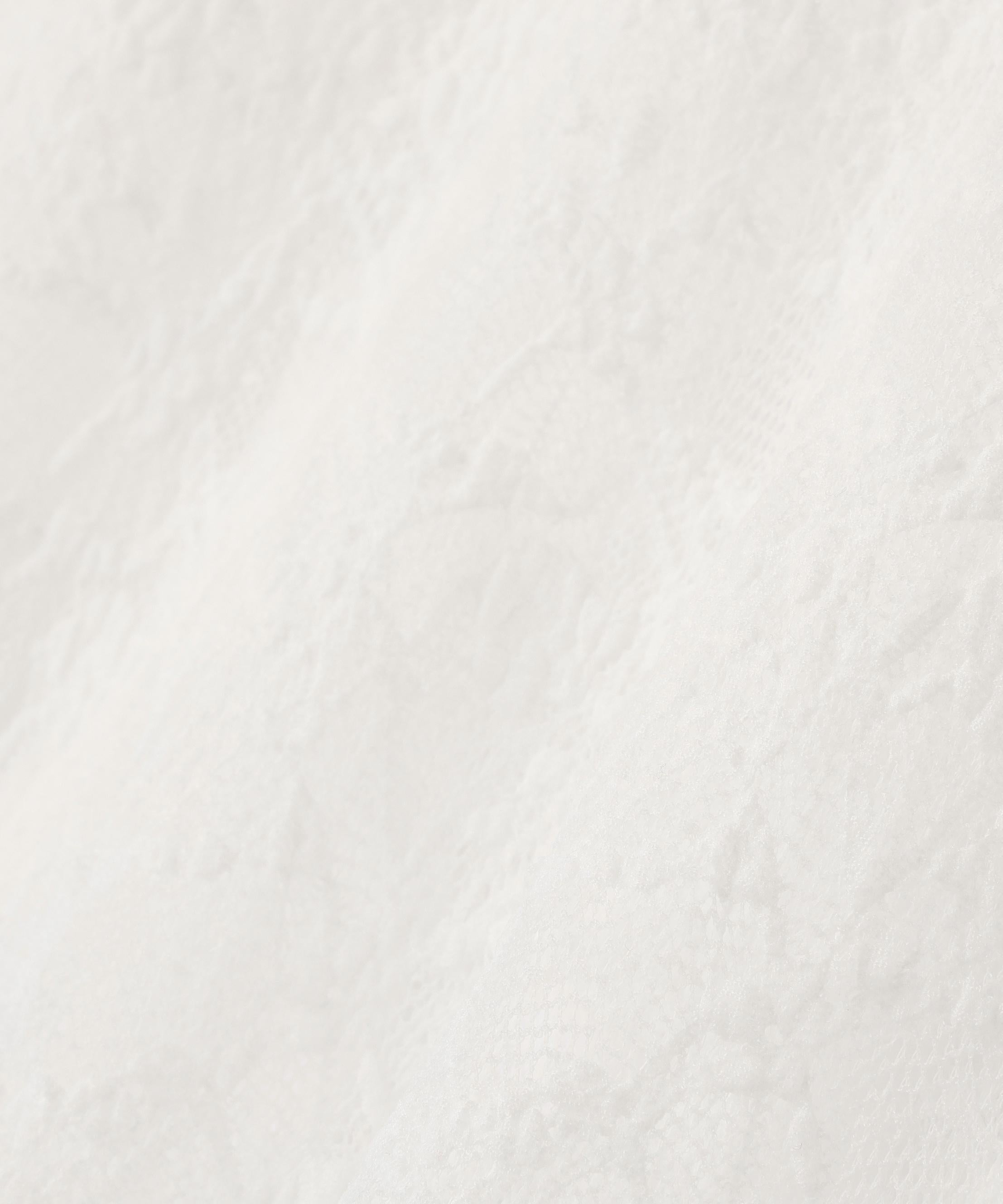 レースハイネックカットソー オフホワイト1