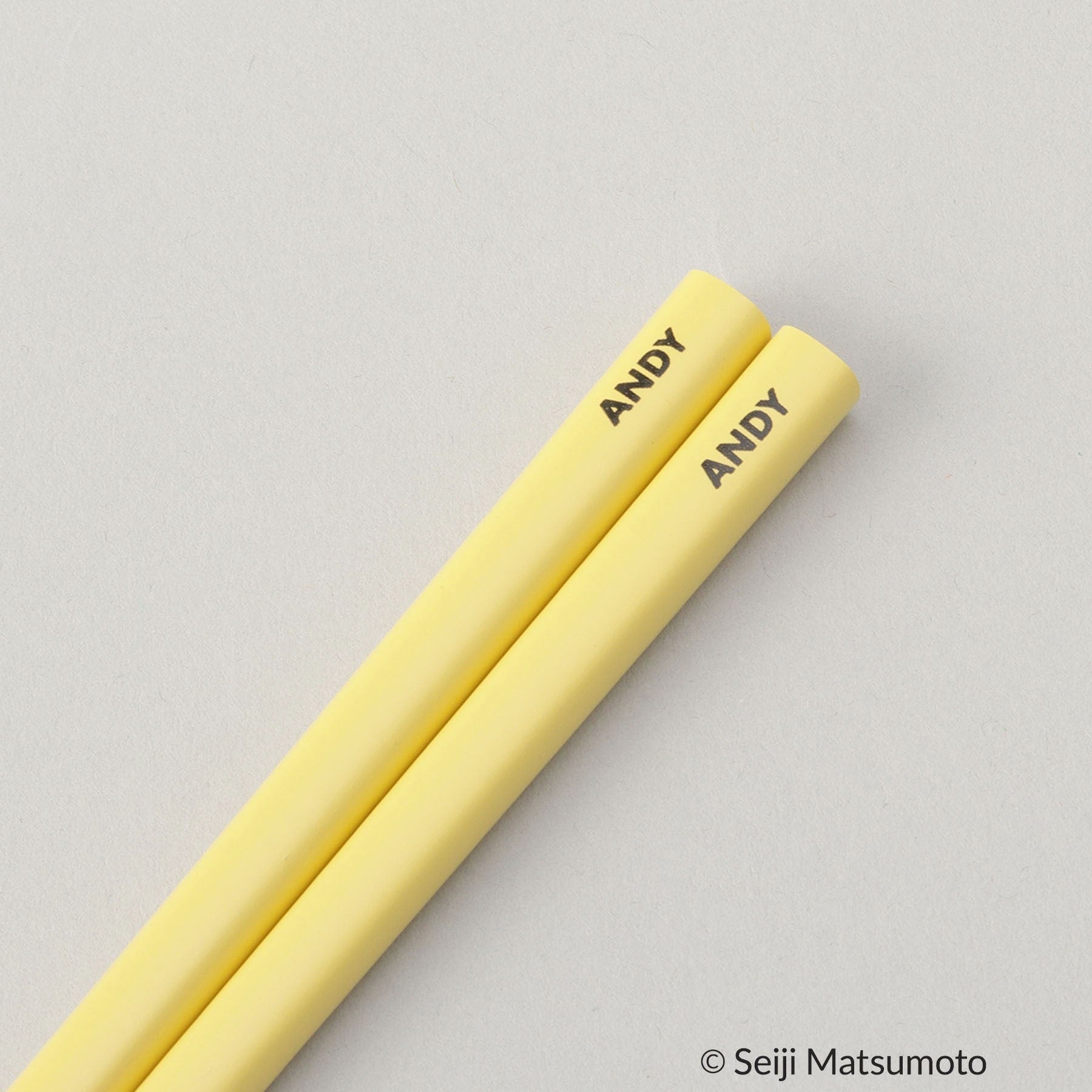 212 KITCHEN STORE Chopsticks and chopstick case YE ＜ANDY＞ [Non-returnable item]