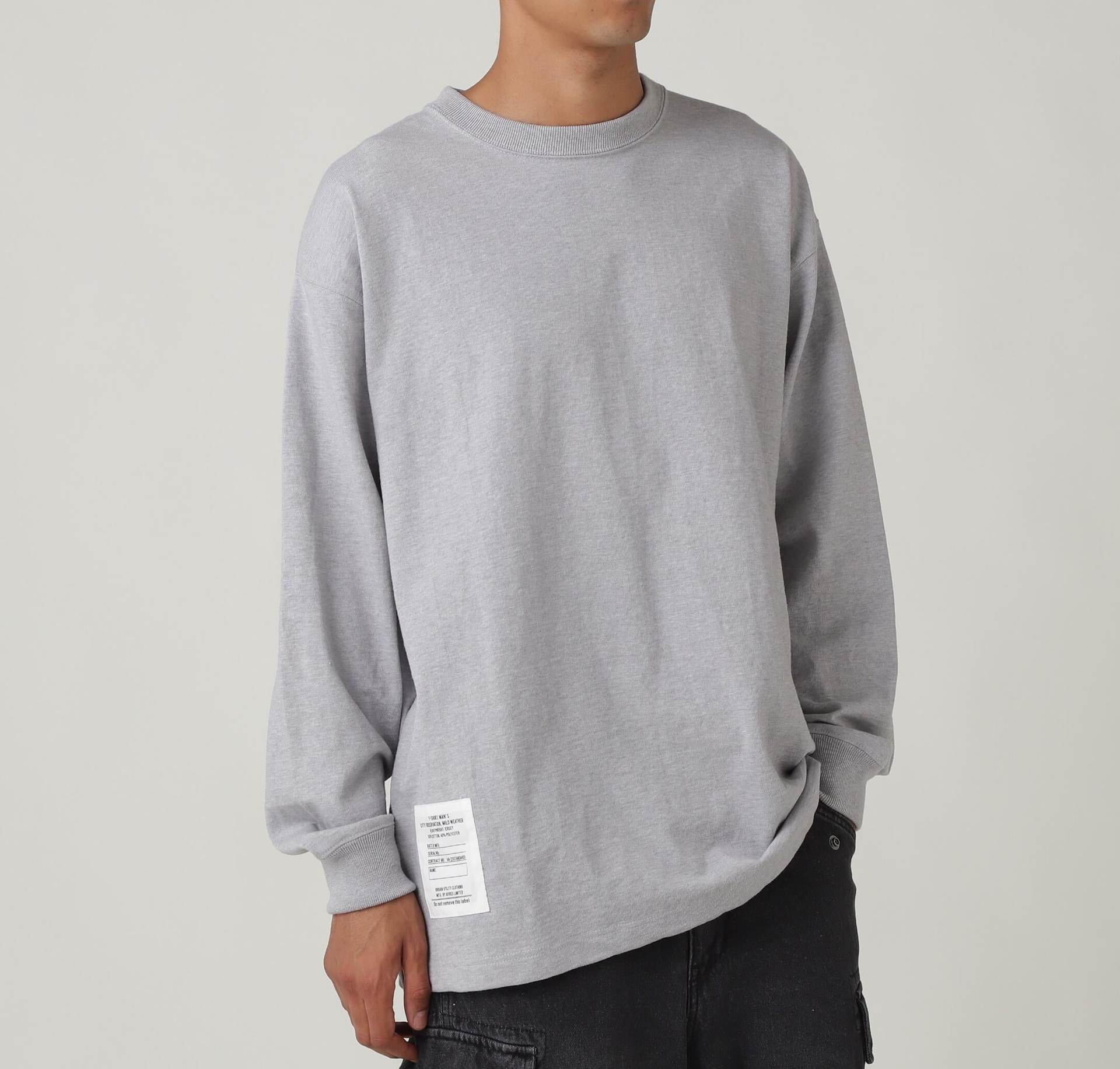 RASIC HEAVY WEIGHT L/S T-SHI>T / ベーシック ヘビーウェイト 長袖 Tシャツ / AVI>EX  オックスフォード2