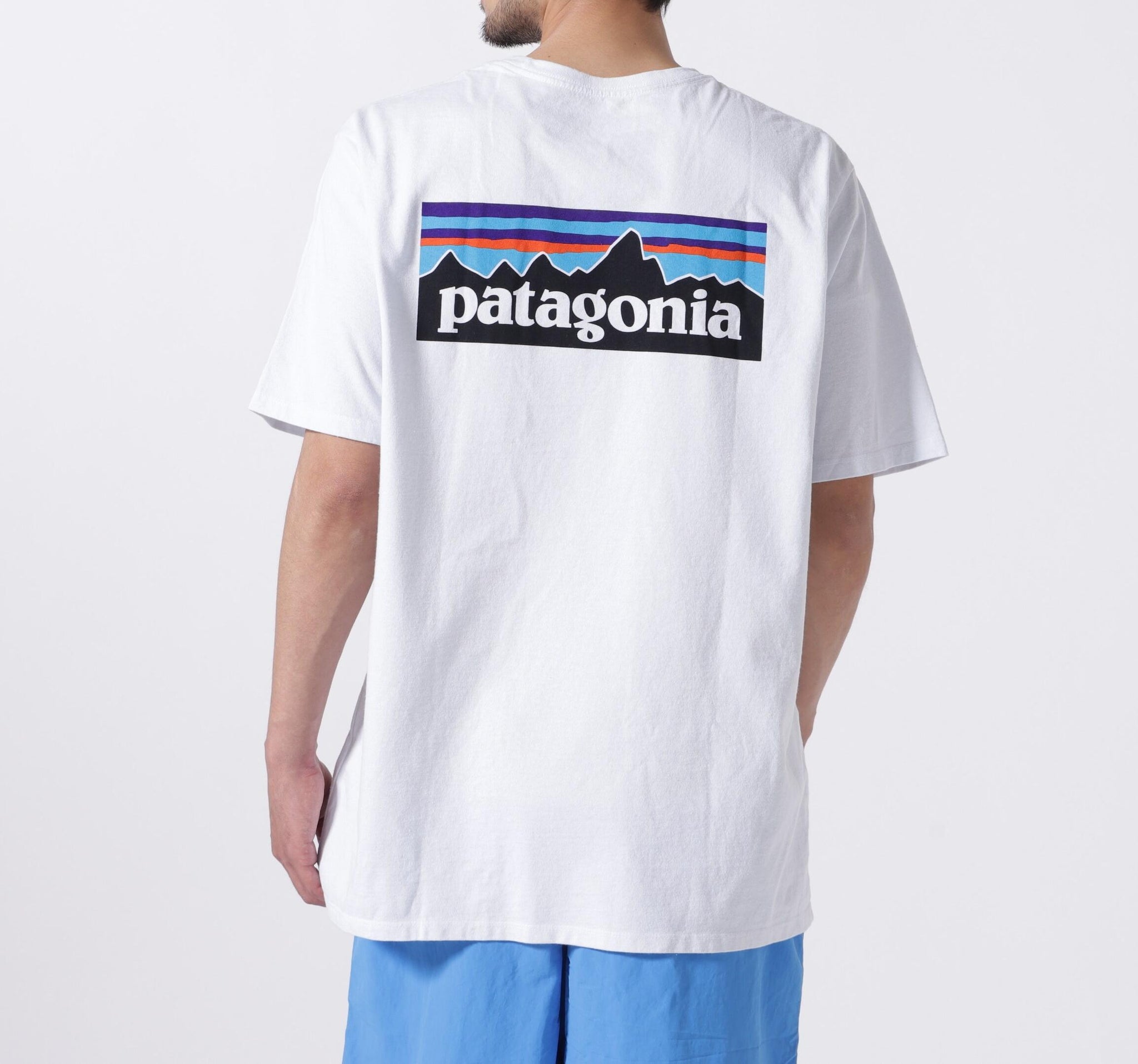 Patagonia/パタゴニア  メンズ・P-6ロゴ・レスポンシビリティー   ホワイト