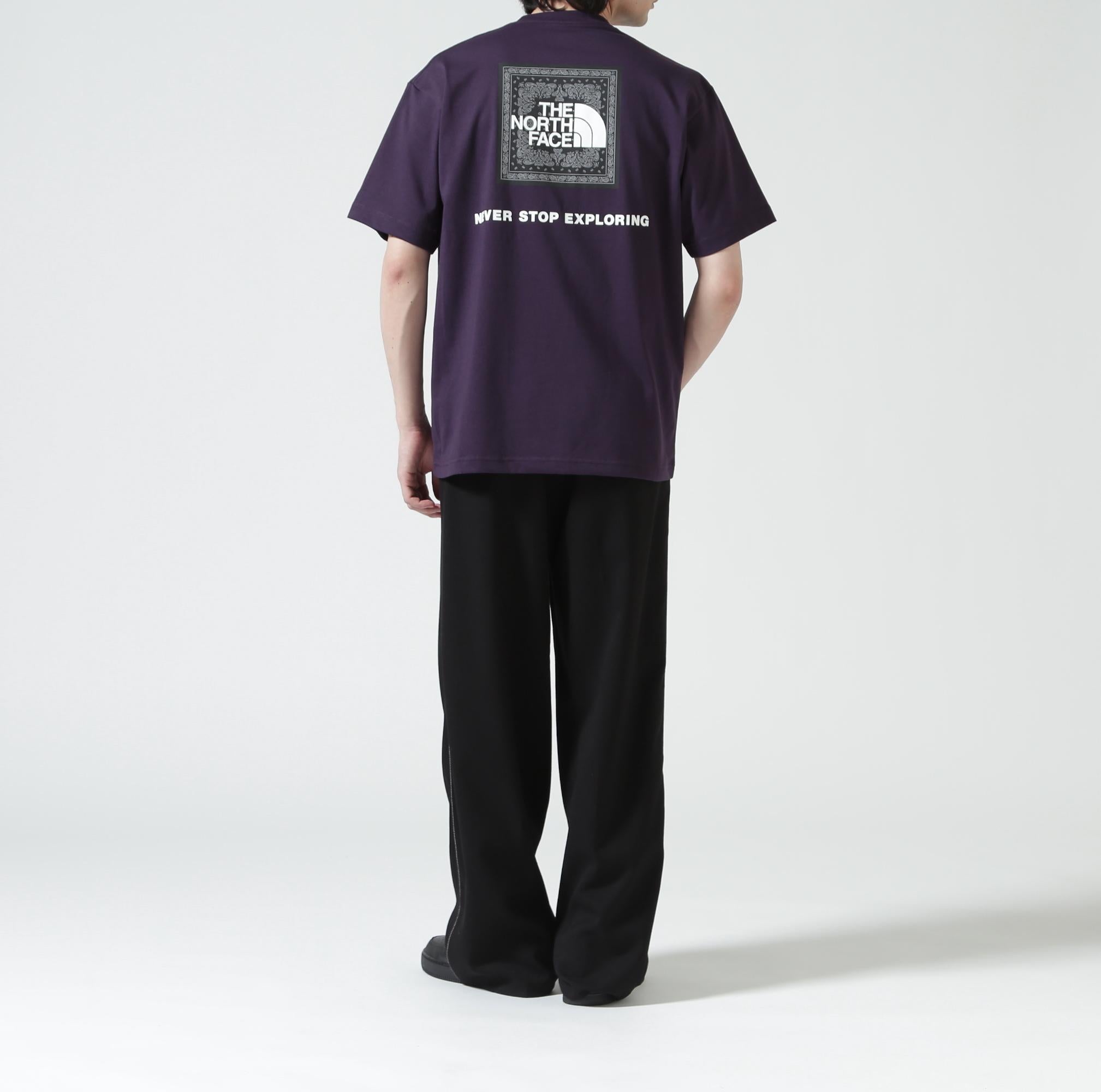 THE NORTH FACE   S/S Bandana Square Logo Tee ダークグレー6