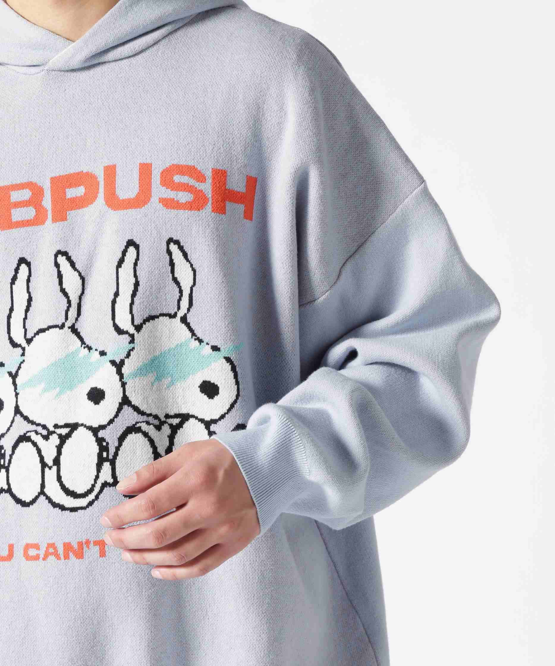 TAIN DOURLE PUSH/タインダブルプッシュ/Exc. KNIT HOODIE ブルー
