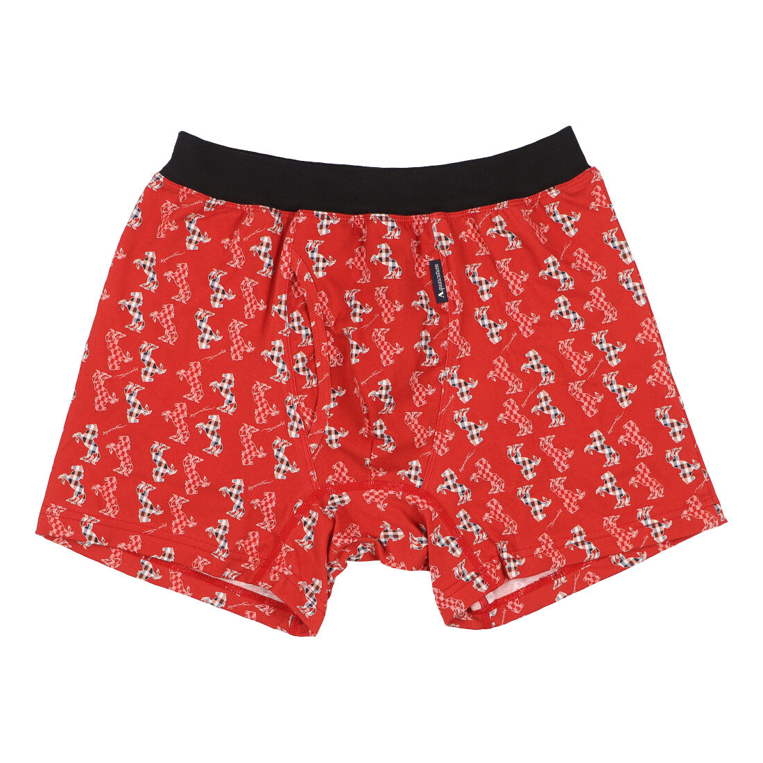 Aquascutum AQ Boxer/24S/Span Rubber/Crab Cheeks [Non-returnable item]