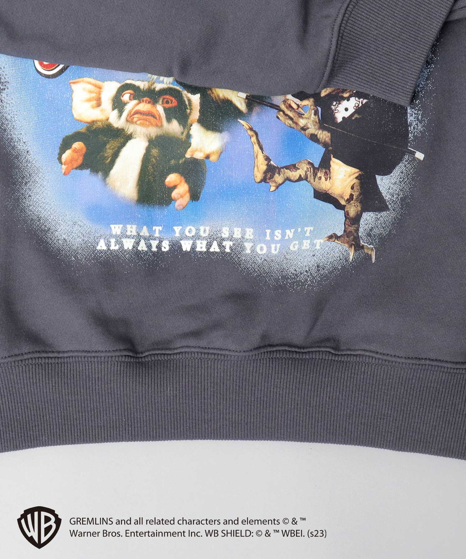 エーエムエスセレクト A.M.S.select GREMRINS グレムリン バンドTシャツ風 ギズモ 裏パイル スウェット トレーナー （スミクロ） スミクロ