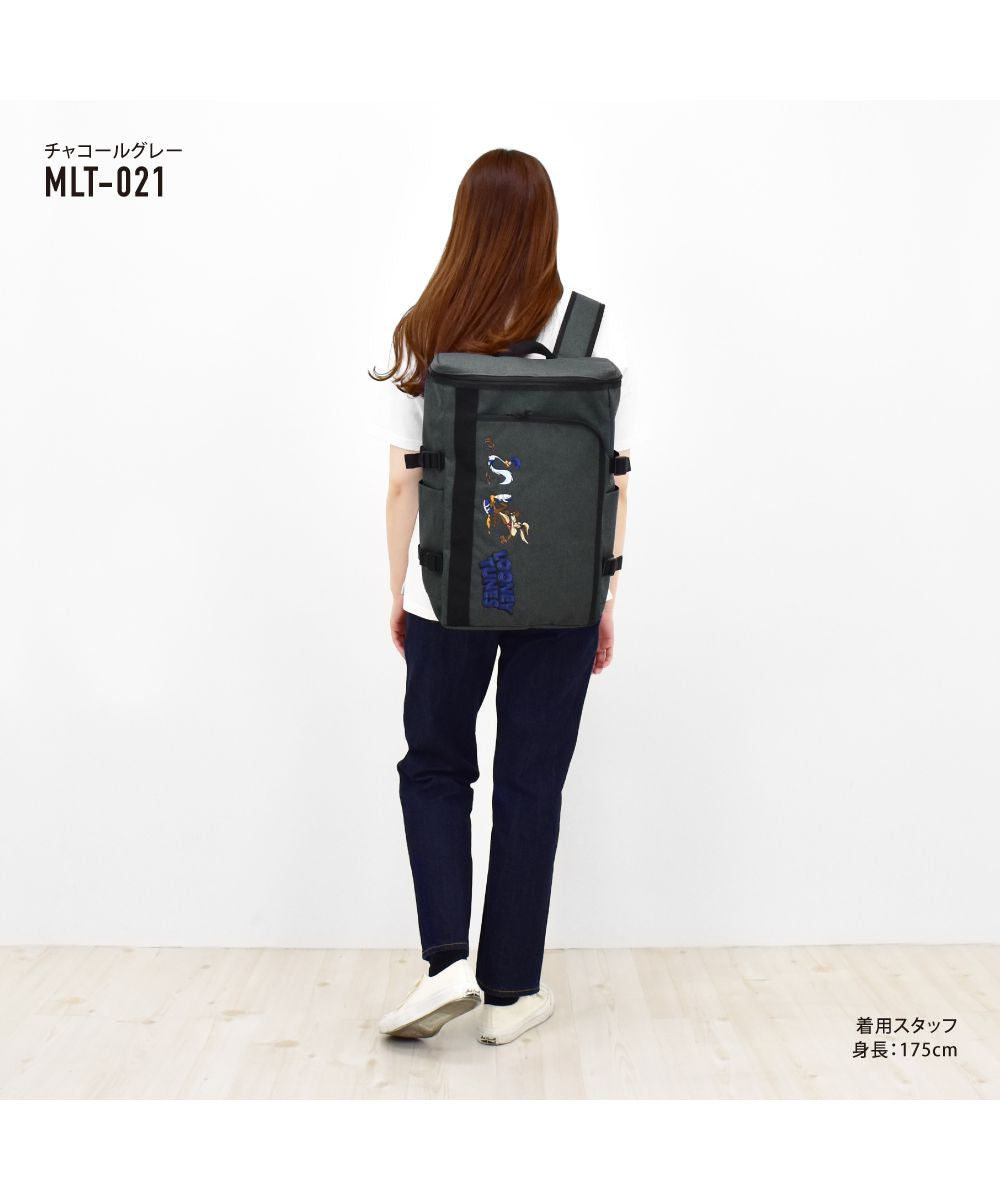 ランナー RUNNER ルーニーテューンズ リュック ボックス型 スクエア 大容量 20L a4 背面ファスナー ポケットたくさん 黒 刺繍 大人 レディース メンズ 女子 男子 女の