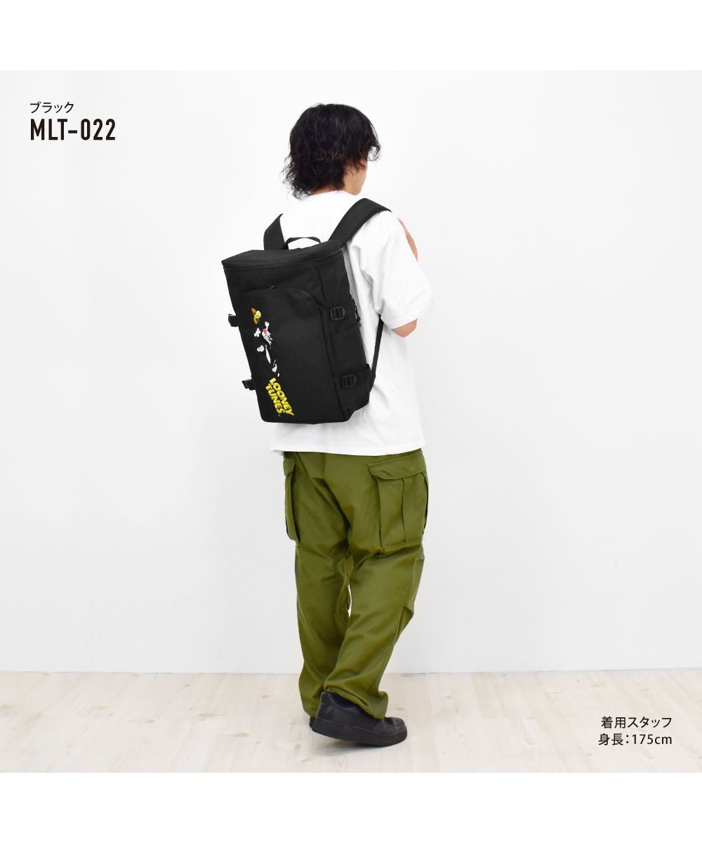 ランナー RUNNER ルーニーテューンズ リュック ボックス型 スクエア 大容量 20L a4 背面ファスナー ポケットたくさん 黒 刺繍 大人 レディース メンズ 女子 男子 女の