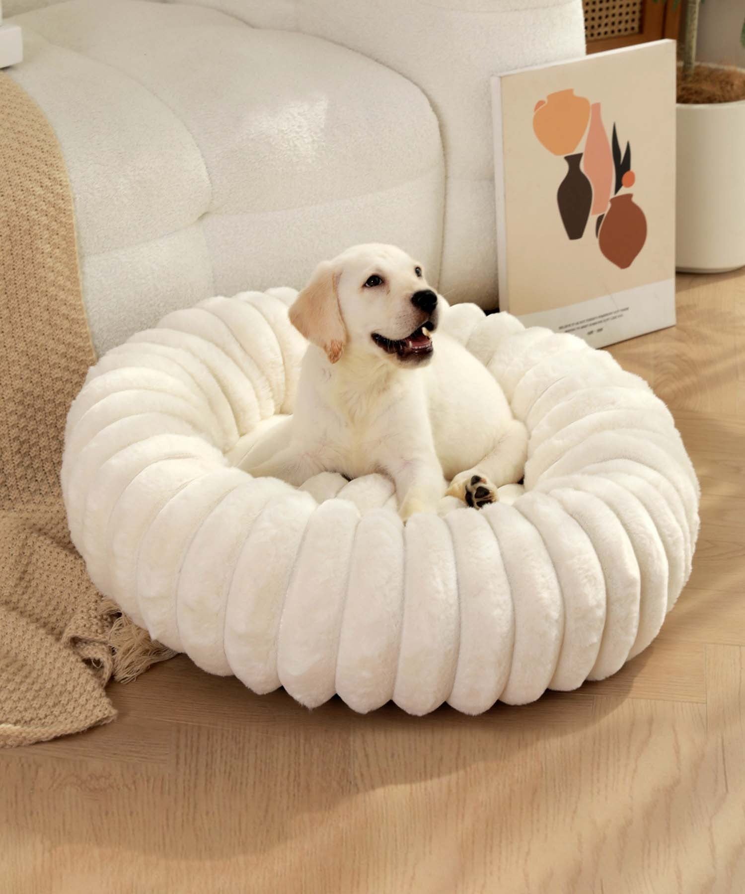 アイモハ aimoha aimoha home/ラウンド型ペットベッド 【返品不可商品】 （ホワイト） ホワイト