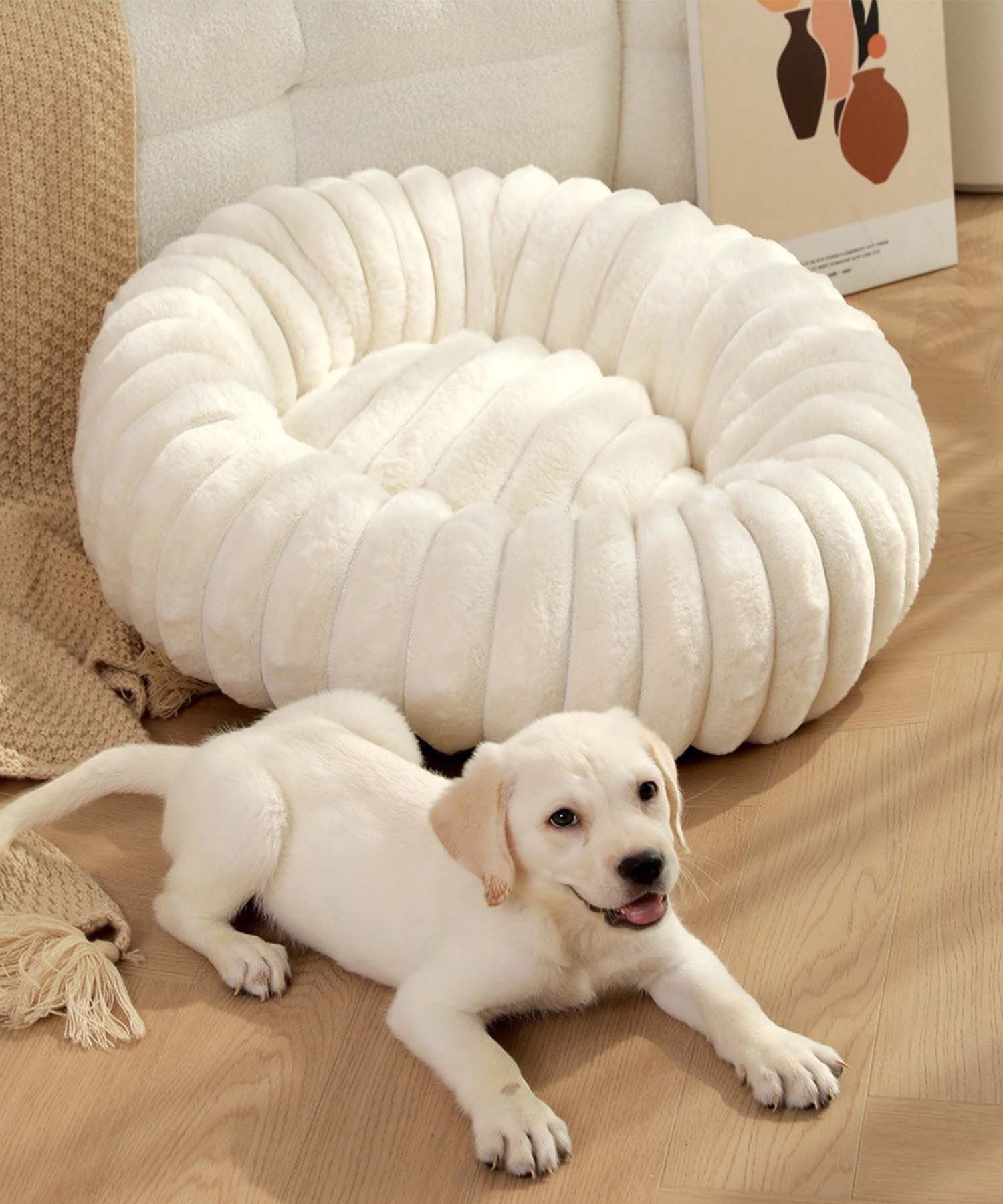 アイモハ aimoha aimoha home/ラウンド型ペットベッド 【返品不可商品】 （ホワイト） ホワイト