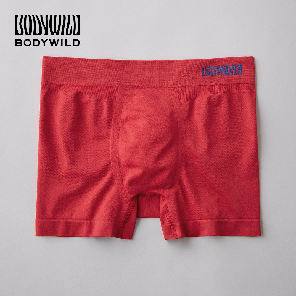 BODY WILD 【3D-Boxer/Mesh】 Boxer Shorts 【Non-returnable Item】