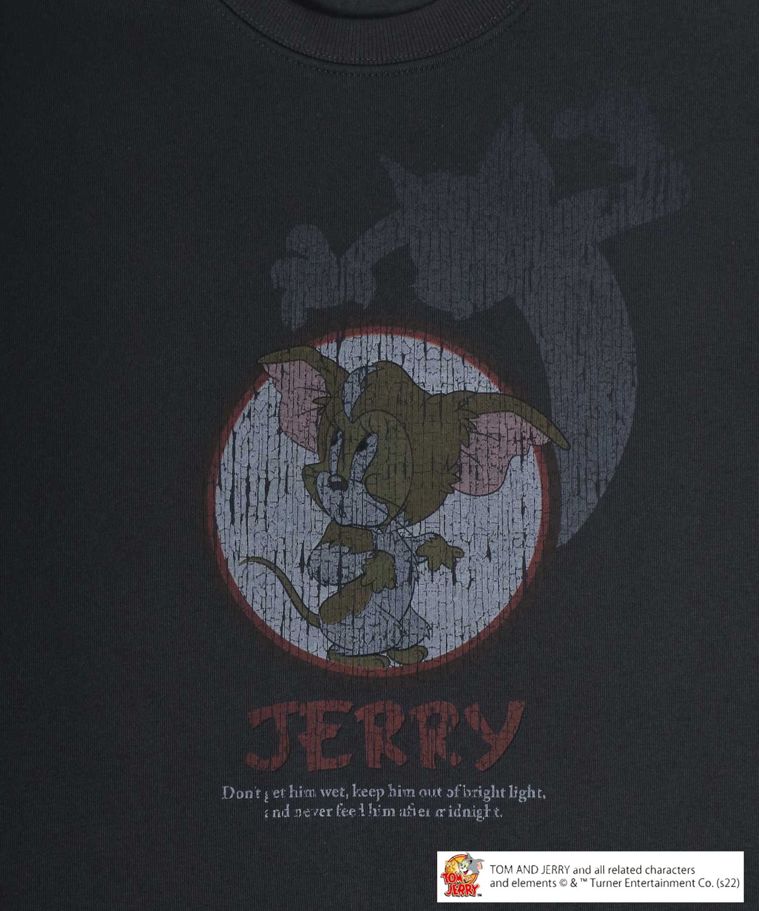 Tom and Jerry Vintage-like Pigment Style Front/Back Print Fleece Lined Oversized Sweatshirt for Women and Men Trainer