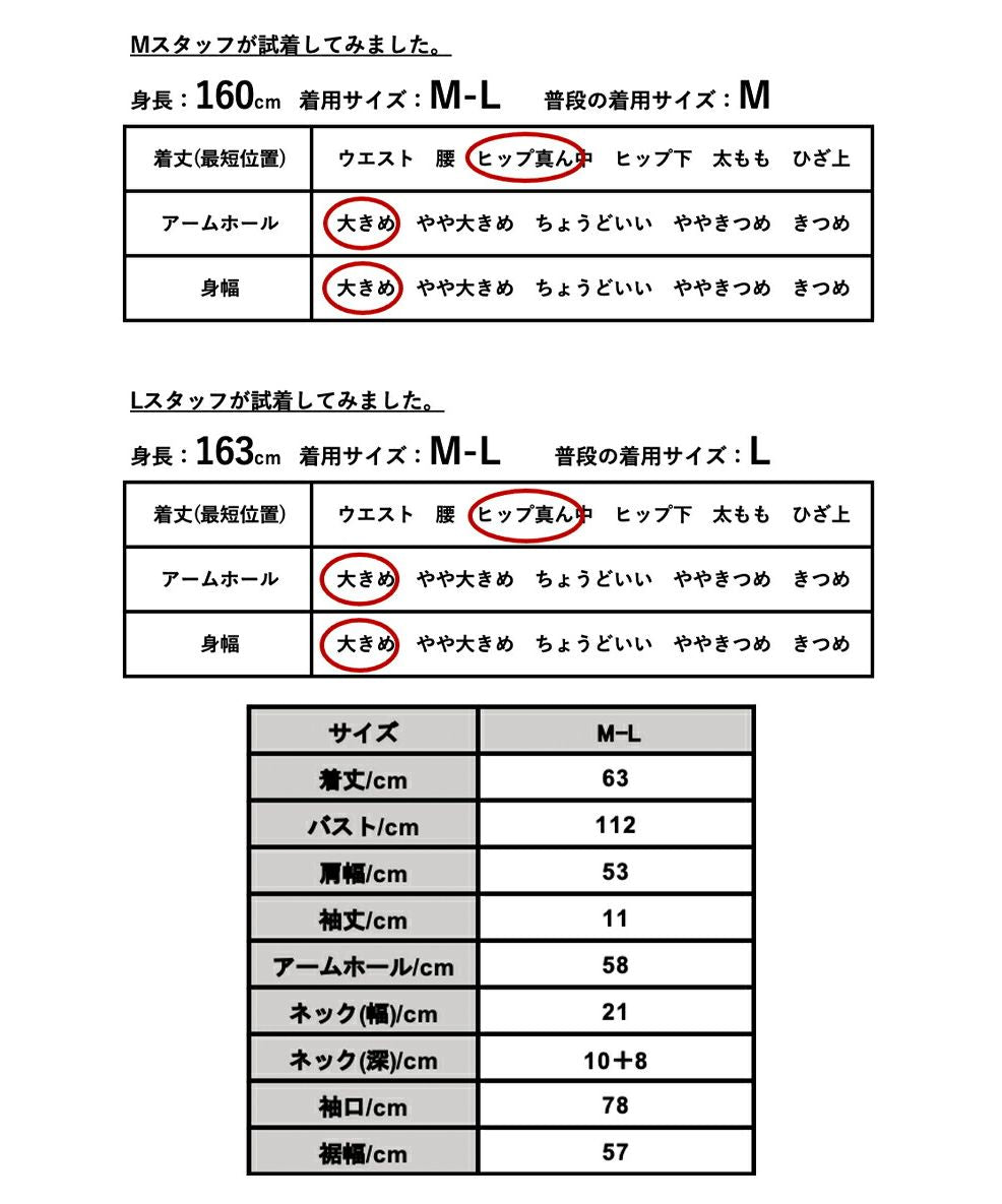アンドイット and it_ 防汚加工フレンチスリーブフリルブラウス ブラウス レディース 春夏 半袖 トップス 撥水 撥油 効果 汚れにくい シミになりにくい 落ちやすい 食べこぼし 家事