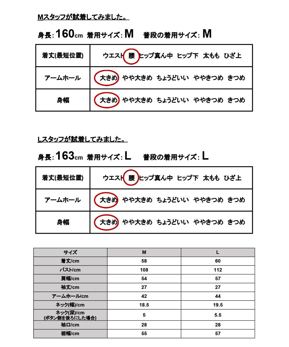 アンドイット and it_ 2WAY楊柳ビッグカラーブラウス ブラウス レディース おしゃれ シャツ シワになりにくい とろみ 春夏 ビッグカラー 七分袖 襟 かわいい 襟付き 光沢 きれ