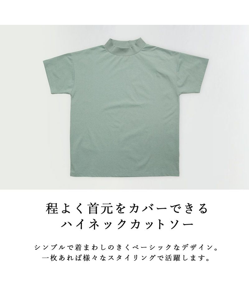 アンドイット and it_ ドライタッチリブハイネック Tシャツ カットソー レディース 春夏 トップス 半袖 ティーシャツ 接触冷感 ひんやり 涼しい 涼感 UVカット 紫外線対策 速乾