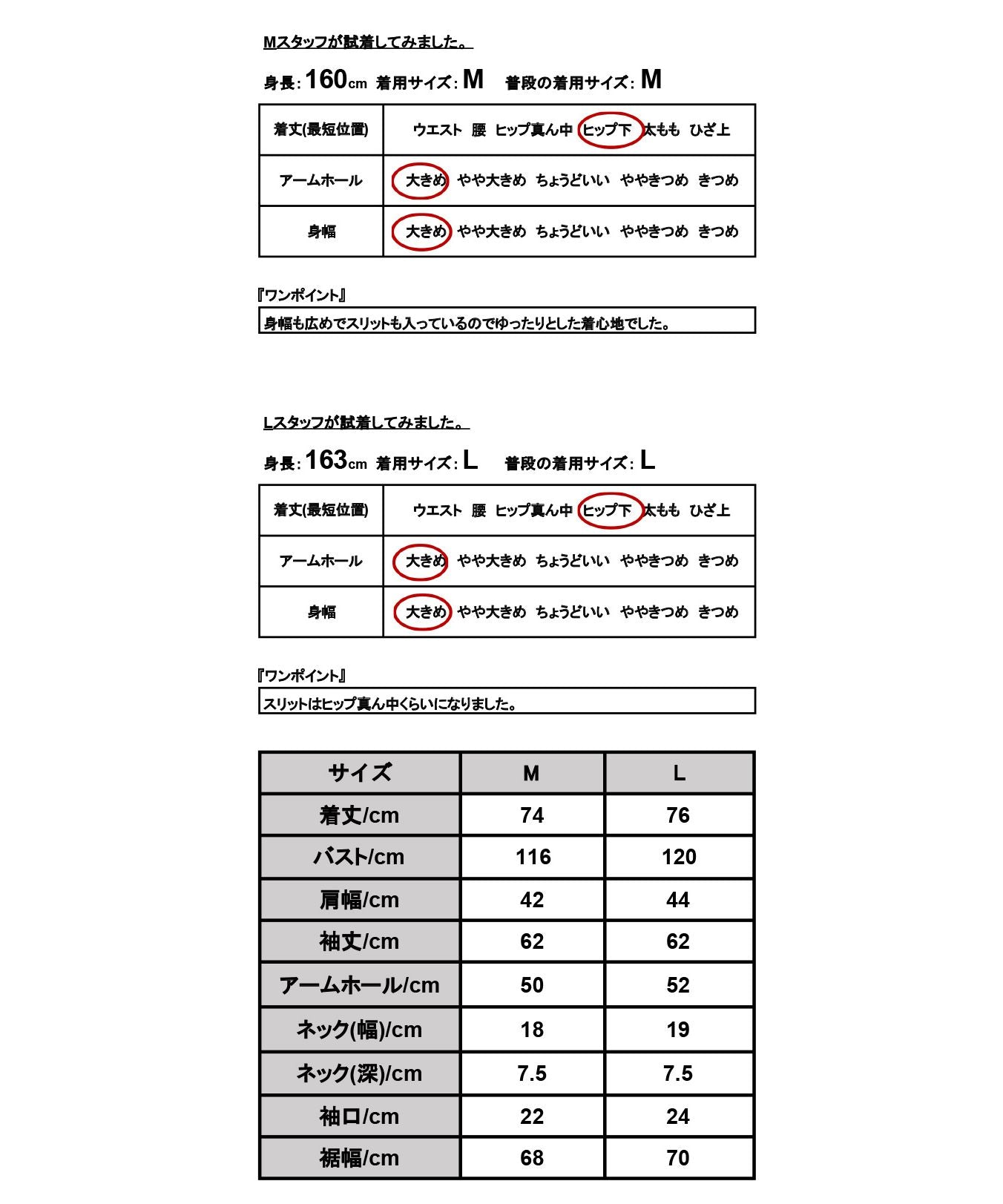 アンドイット and it_ アシンメトリーケープカラーエステルピーチブラウス ブラウス レディース 長袖 オフィス トップス シャツ おしゃれ 秋冬 シンプル 大人 きれいめ ゆったり 楽