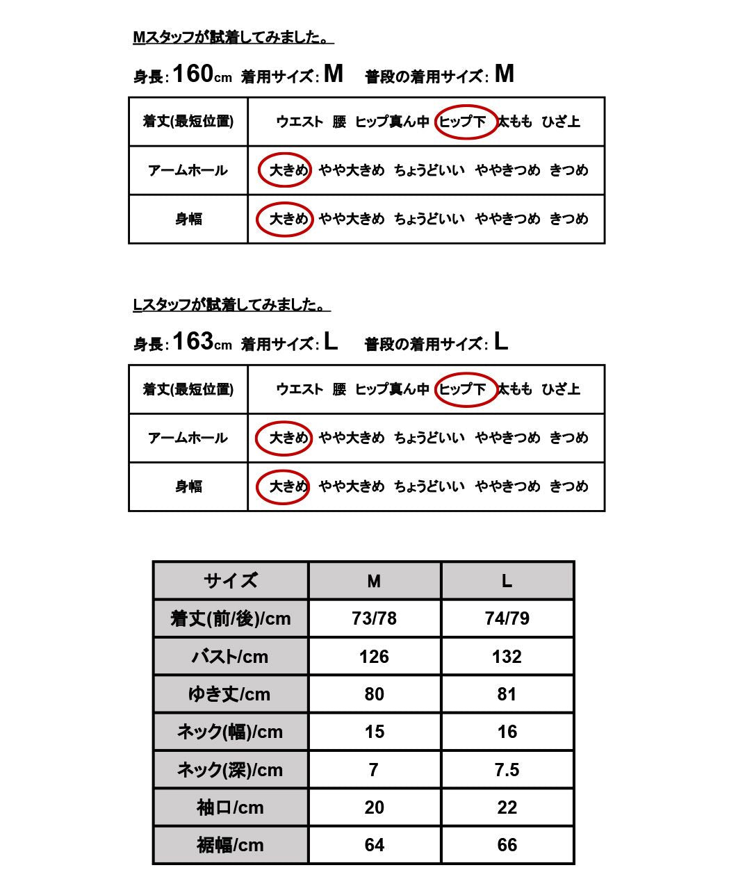 アンドイット and it_ ラグランプリントスウェットチュニック トップス カジュアル 長袖 スウェット レディース 春 プリント ロゴ ロゴスウェット グレージュ グリーン オレンジ ネ