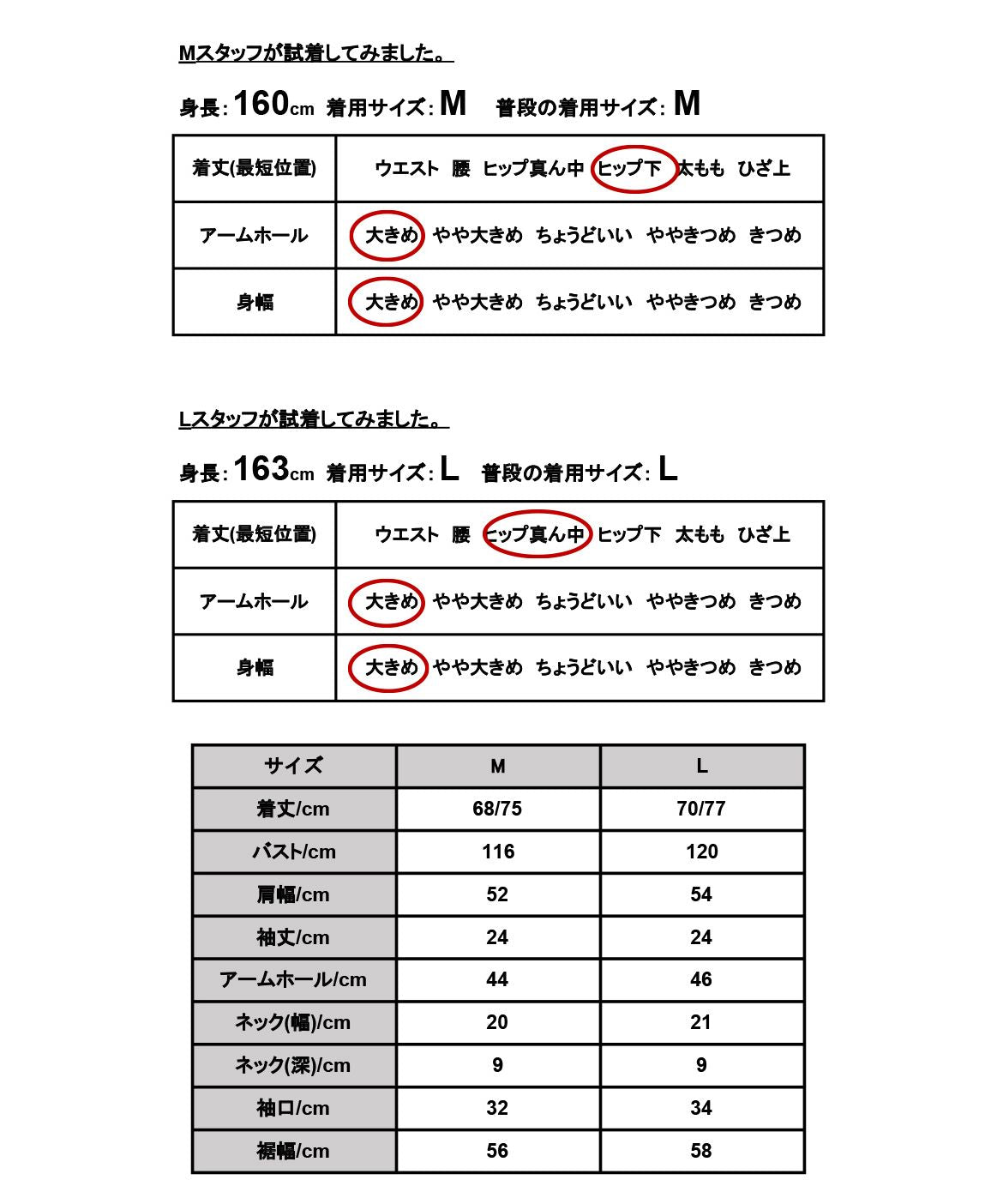 アンドイット and it_ パールボタン梨地プルオーバー トップス レディース 春夏 半袖 カットソー パール きれいめ 綺麗め 上品 大人 梨地 シワになりにくい 伸縮性 ストレッチ オ （サックス） サックス