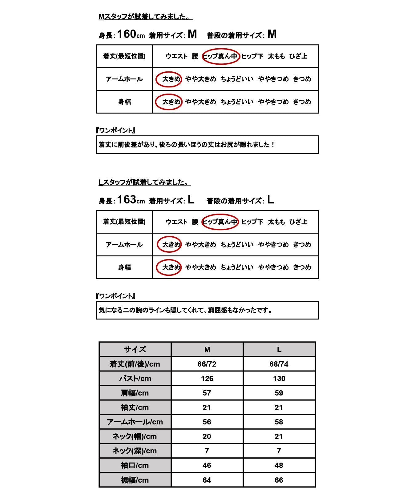 アンドイット and it_ ピンタックワイドスリーブシャツ シャツ ブラウス レディース 春 夏 半袖 五分袖 きれいめ ゆったり ワイド 大きめ 楽ちん カジュアル ホワイト スモーキー