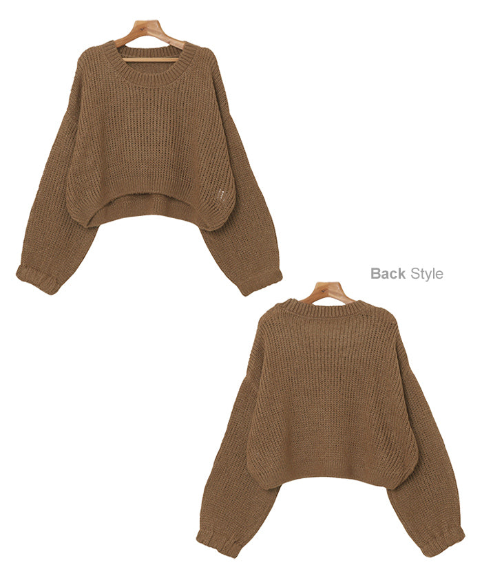 andme Mohair-like Short Sheer Knit Top