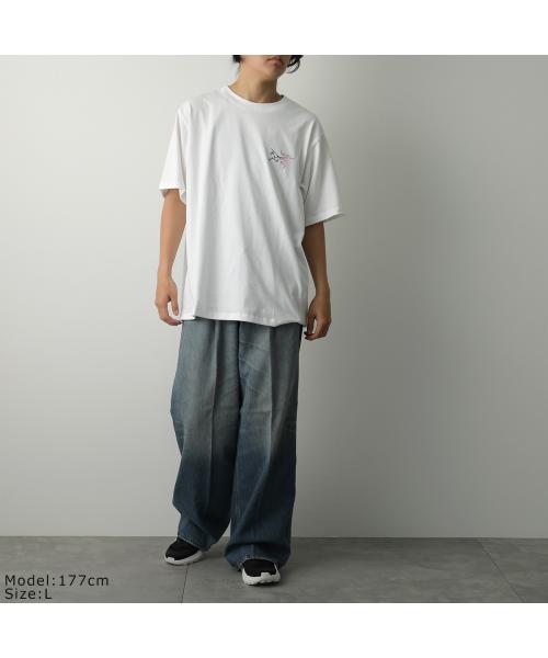 アークテリクス ARC'TERYX ARCTERYX Tシャツ Kragg Cotton Logo SS クラッグ X000008464 （WHITE-LIGHT/SOUL-ホワイト） WHITE-LIGHT/SOUL-ホワイト