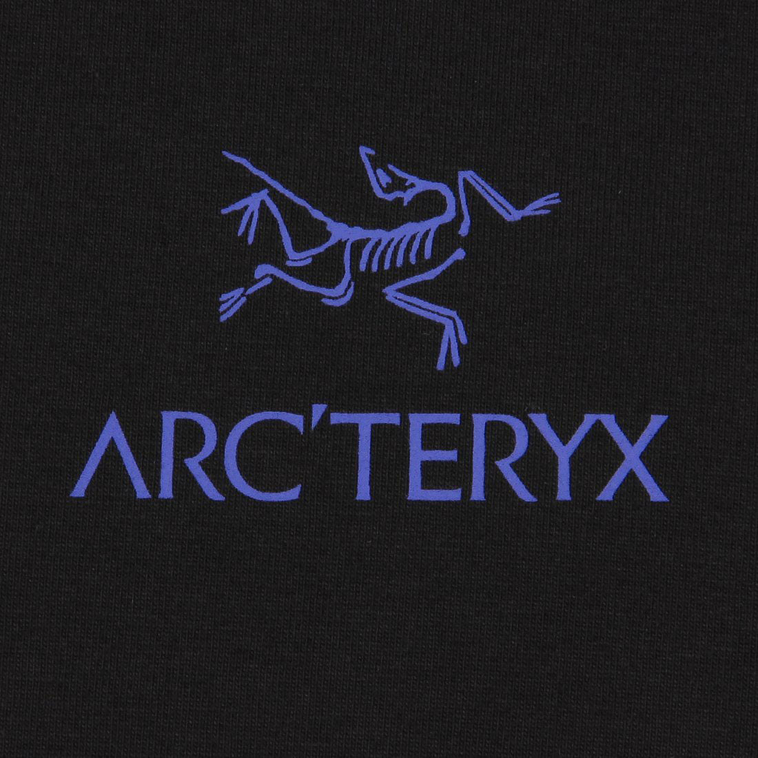 アークテリクス ARC'TERYX Tシャツ カットソー クラッグ SL コットン バード ワードTシャツ ブラック メンズ ARC'TERYX X000009535 BLEL （BLACK ELECTRA） BLACK ELECTRA