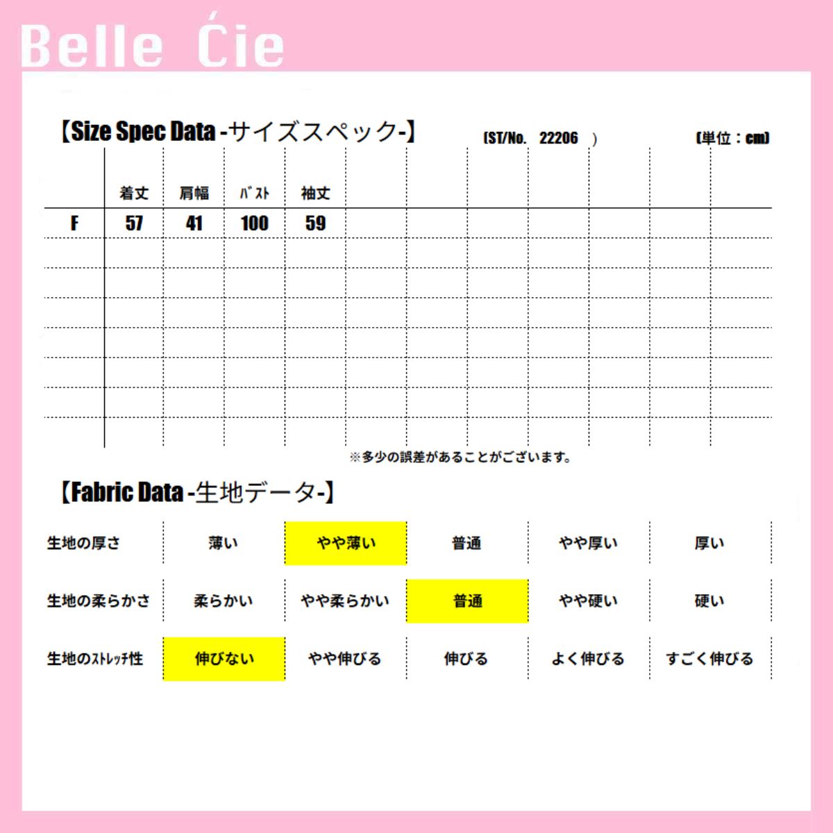 ベルシー Belle Cie シフォンブラウス 長袖 シアートップス 立体感 オフィスカジュアル レディース 韓国ファッション きれいめ シンプル 大人可愛い 白ブラウス 通勤 （アイボリー） アイボリー