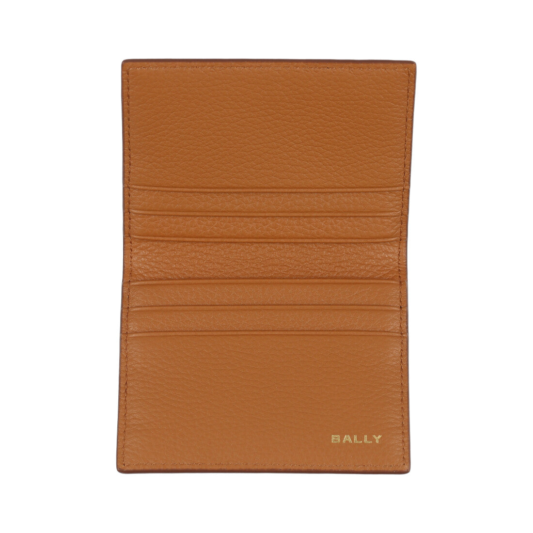 バリー BALLY PNT BUSINESS CC （MULTIDESERTO） MULTIDESERTO