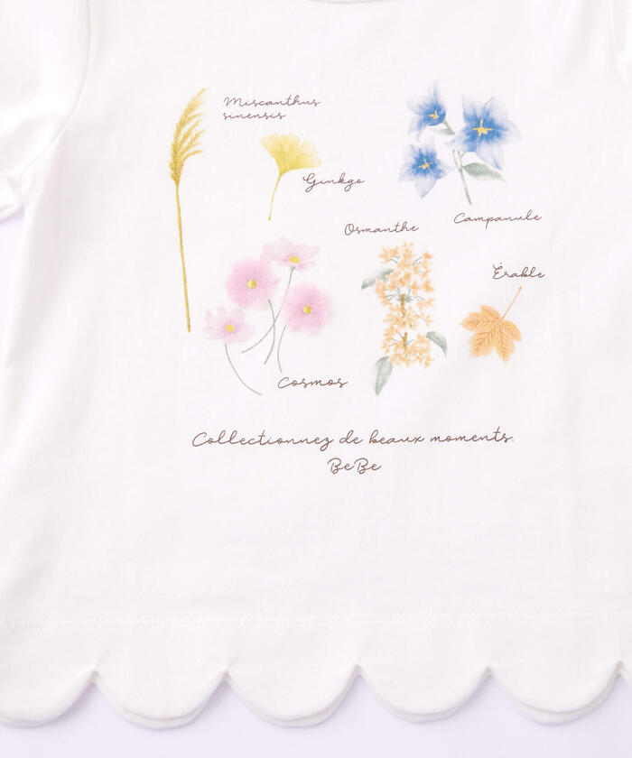 BeBe Botanical Flower Pattern Scalloped Long Sleeve T-Shirt