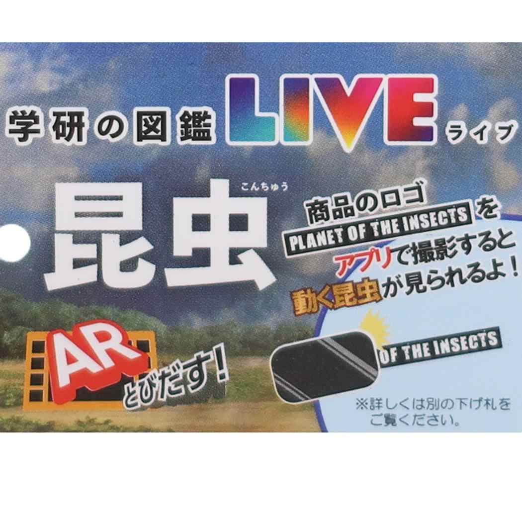 シネマコレクション cinemacollection カブトムシ＆ノコギリクワガタ 保冷バッグ 保冷保温リングポーチ ジェイズプランニング お出かけ 子供 アウトドア 男の子 グッズ  （メーカー指定色） メーカー指定色